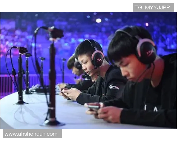 王者荣耀赛事分析FPX战队表现卓越创下历史新高