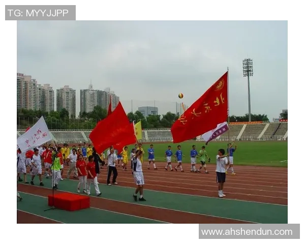 深圳极限运动队赛事经验深度对比与分析探讨