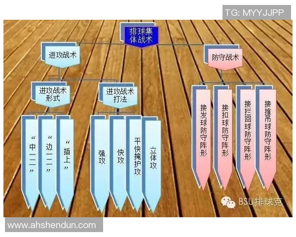 成都排球队灵活性对比分析及其对战术调整的影响探讨
