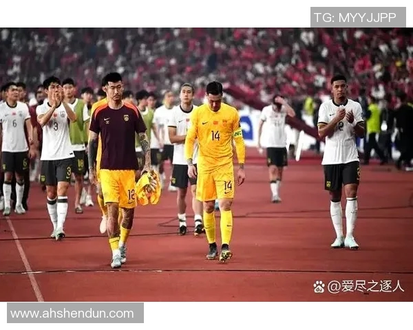 中国足球明星事件全景回顾与深度解析从起因到影响的全面解读